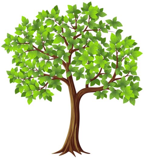 desenho de árvore